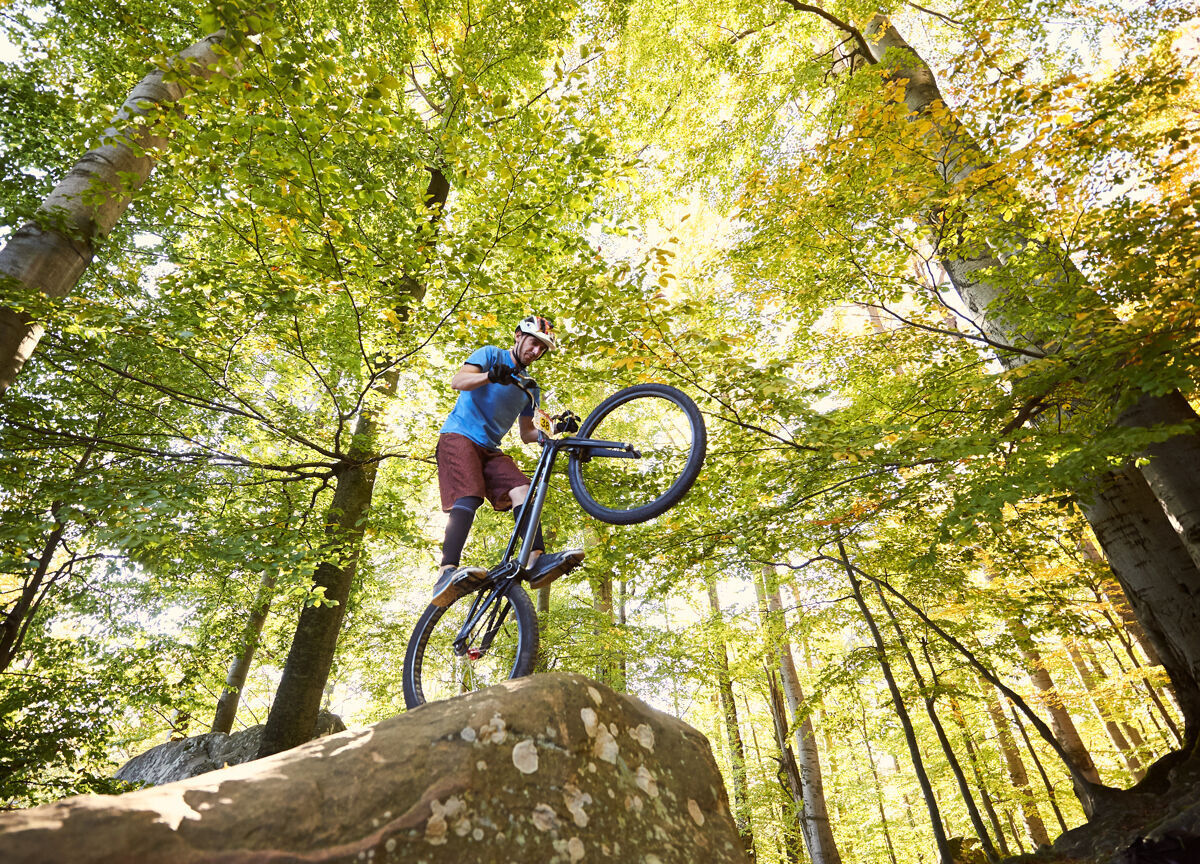 树在日落时分 职业自行车手在试骑自行车上保持平衡Bmx岩石杂技演员