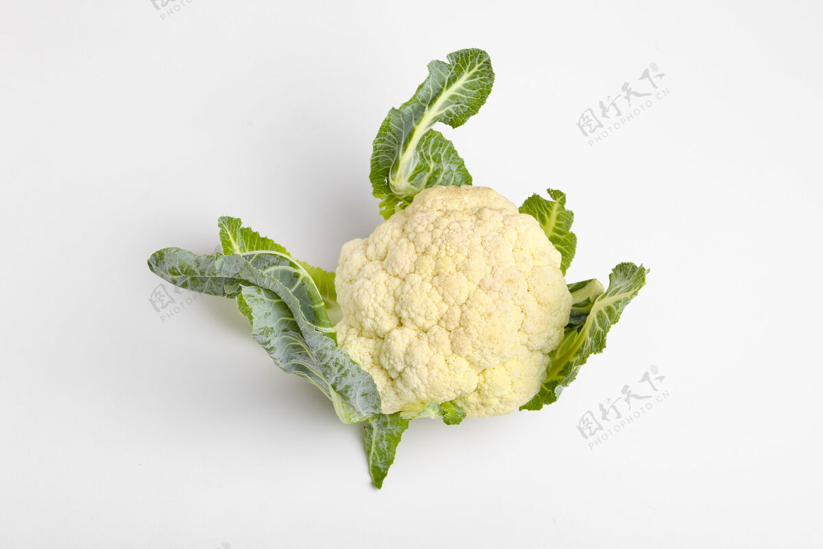 健康整个生菜花 整个蔬菜 隔离在白色背景上成熟天然食品消化