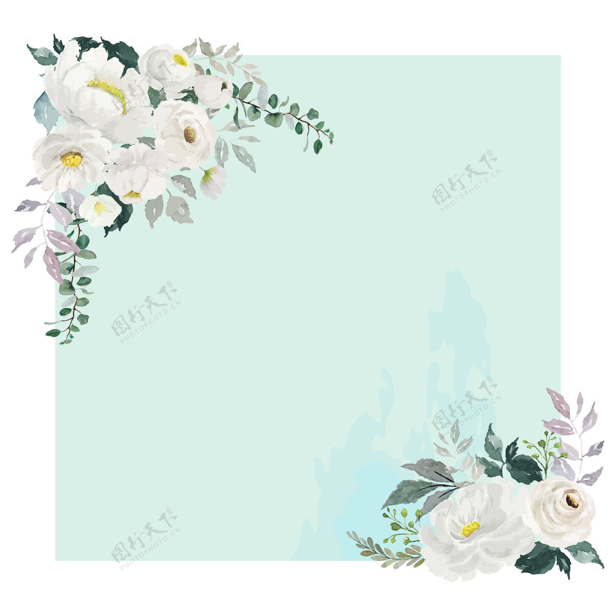 边框水彩白玫瑰花束在两个角落的浅绿色方形框架花花正方形