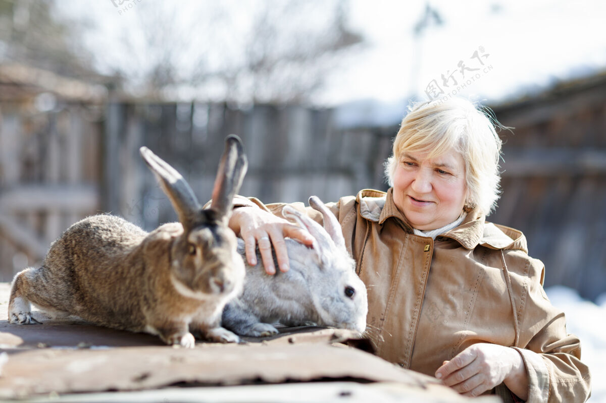 农村快乐的女人和兔子农场家畜乡村动物毛茸茸的