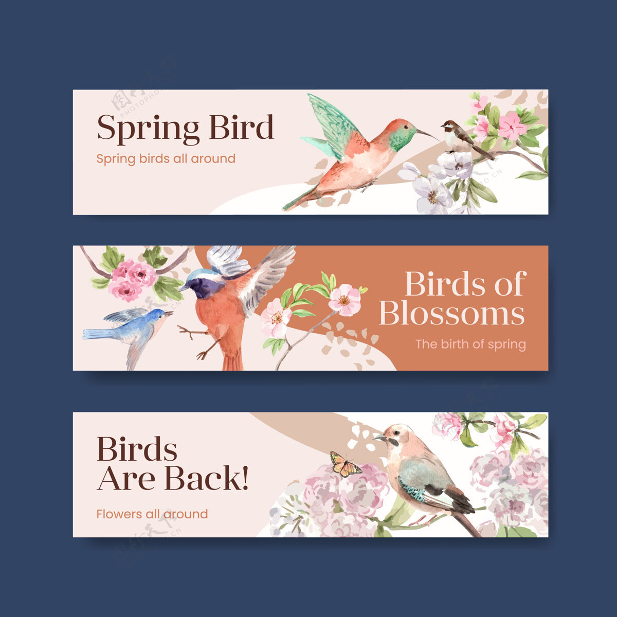 植物横幅模板与春天和鸟的广告和营销水彩插图的概念设计模板花卉水彩