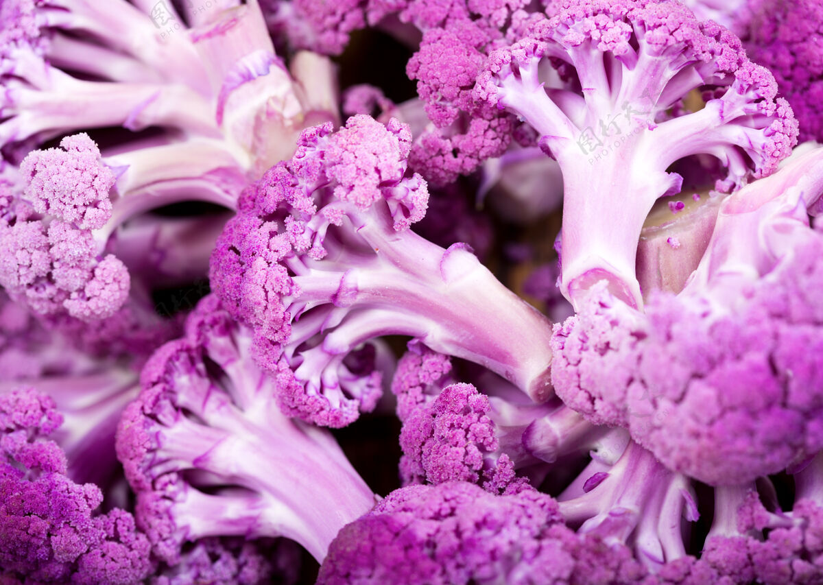 物体以紫色花椰菜为背景的特写镜头卷心菜蔬菜生的