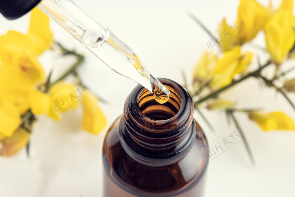瓶一支移液管 琥珀色瓶子和黄色花枝的特写镜头金雀花精油草本精华香薰开花选择性聚焦芳香疗法