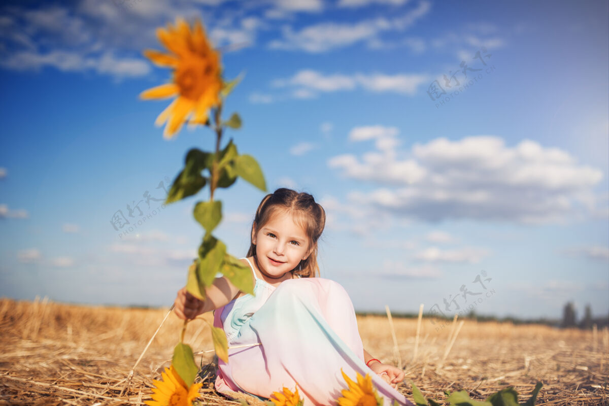 自由穿着长太阳裙的快乐美丽的小女孩坐在一块地上 地上种着割好的小麦和向日葵美丽篮子户外