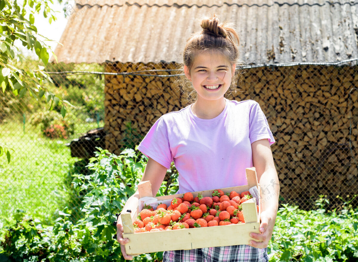 人农夫从灌木丛里摘草莓年轻饮食农业
