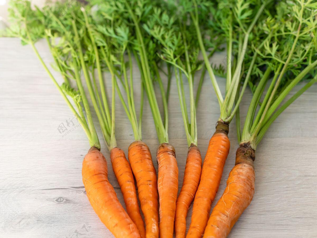 素食者只有花园里的新鲜胡萝卜浅表面有绿色茎的橙色胡萝卜开胃的健康蔬菜美味新鲜木材