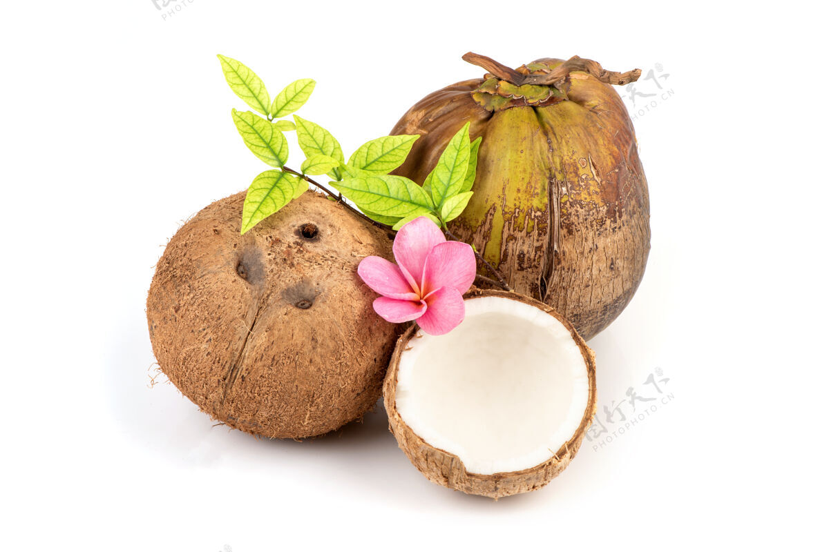 有机整个椰子都是白色的自然智慧食物