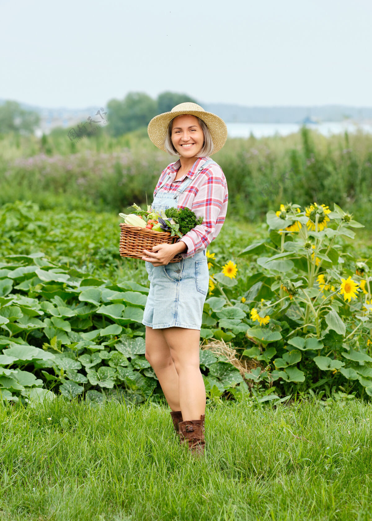 园艺女人手里拿着一篮子丰收的有机蔬菜和根上的有机生物农场.秋天蔬菜收获生菜维生素送货