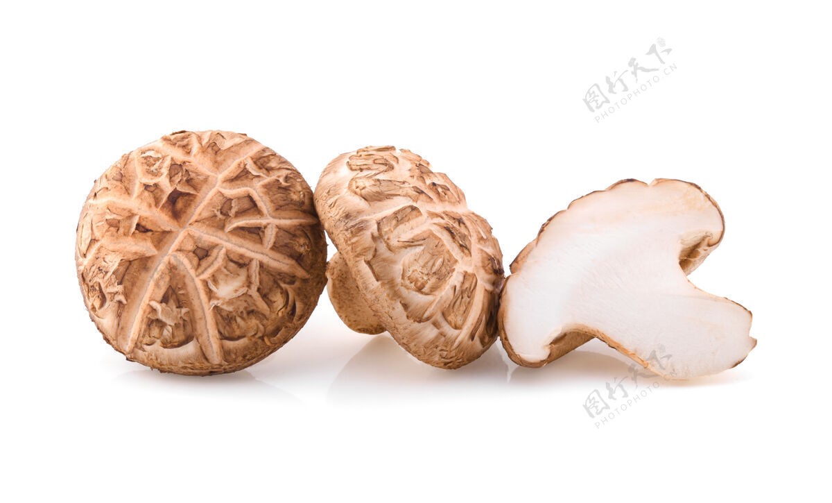 生白底香菇亚洲食用香菇