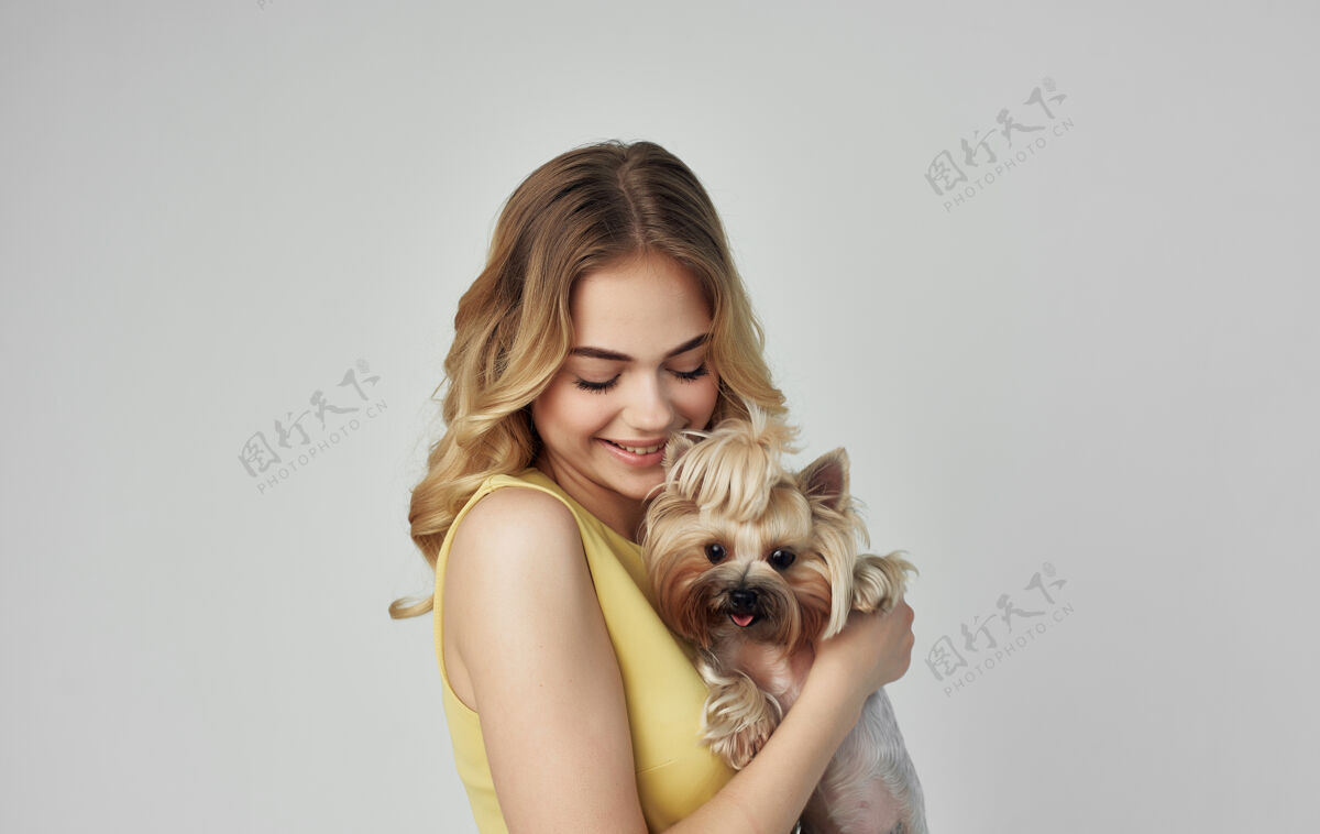 连接一个穿着黄色裙子的快乐的金发女郎手里拿着一只纯种狗约克郡梗女性青年