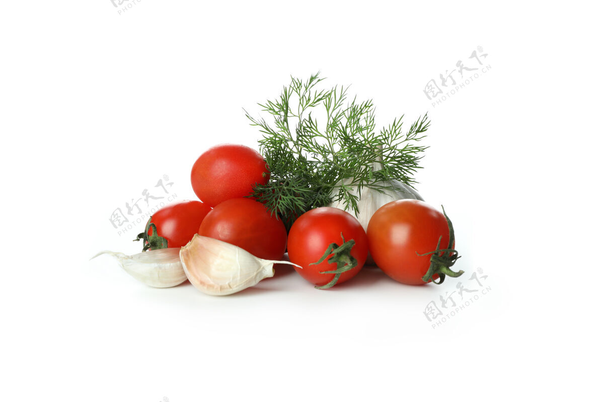 罗勒西红柿 莳萝和大蒜隔离在白色莳萝配料饮食