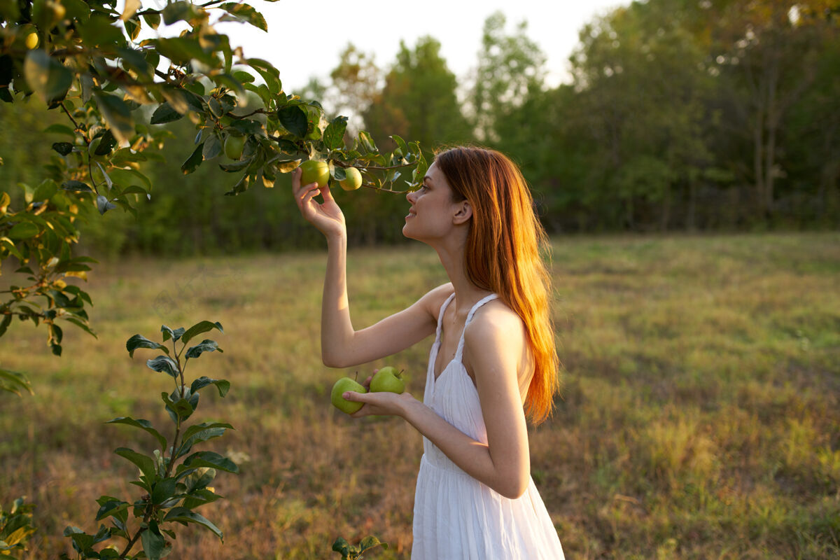 女士山上草地上的一棵树旁 一位穿着白裙子 拿着苹果的迷人女士素食成人年轻