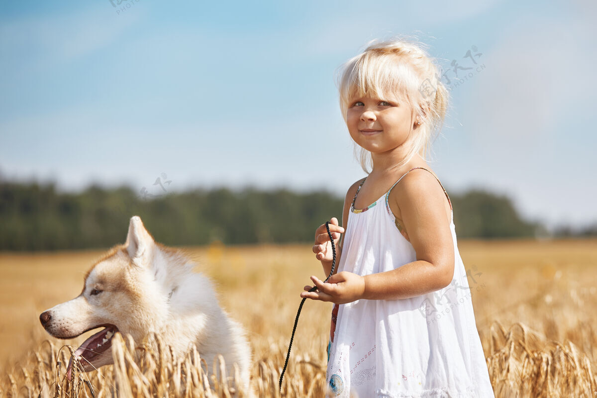 孩子日落时分 快乐的小女孩带着一只哈士奇狗在麦田里玩耍举行微笑小