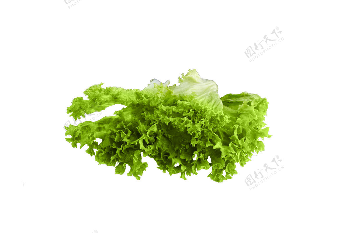 生菜新鲜的绿叶莴苣在白色绿色食物蔬菜