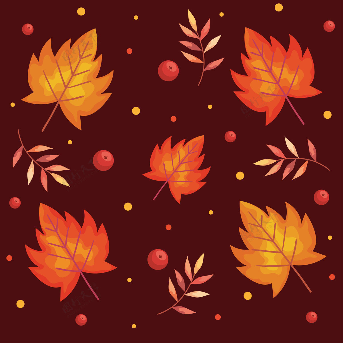 秋天秋叶植物枝叶图案插画图案植物学植物