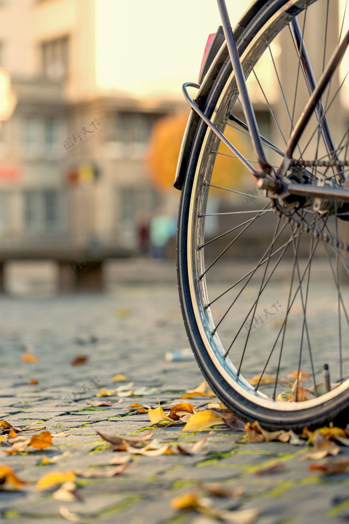 路面城市里的自行车轮子秋天色调小镇