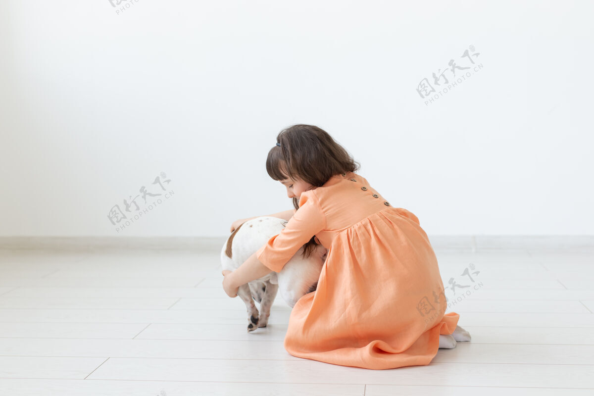 年轻孩子坐在地板上和可爱的小狗杰克罗素梗品种小狗拥抱