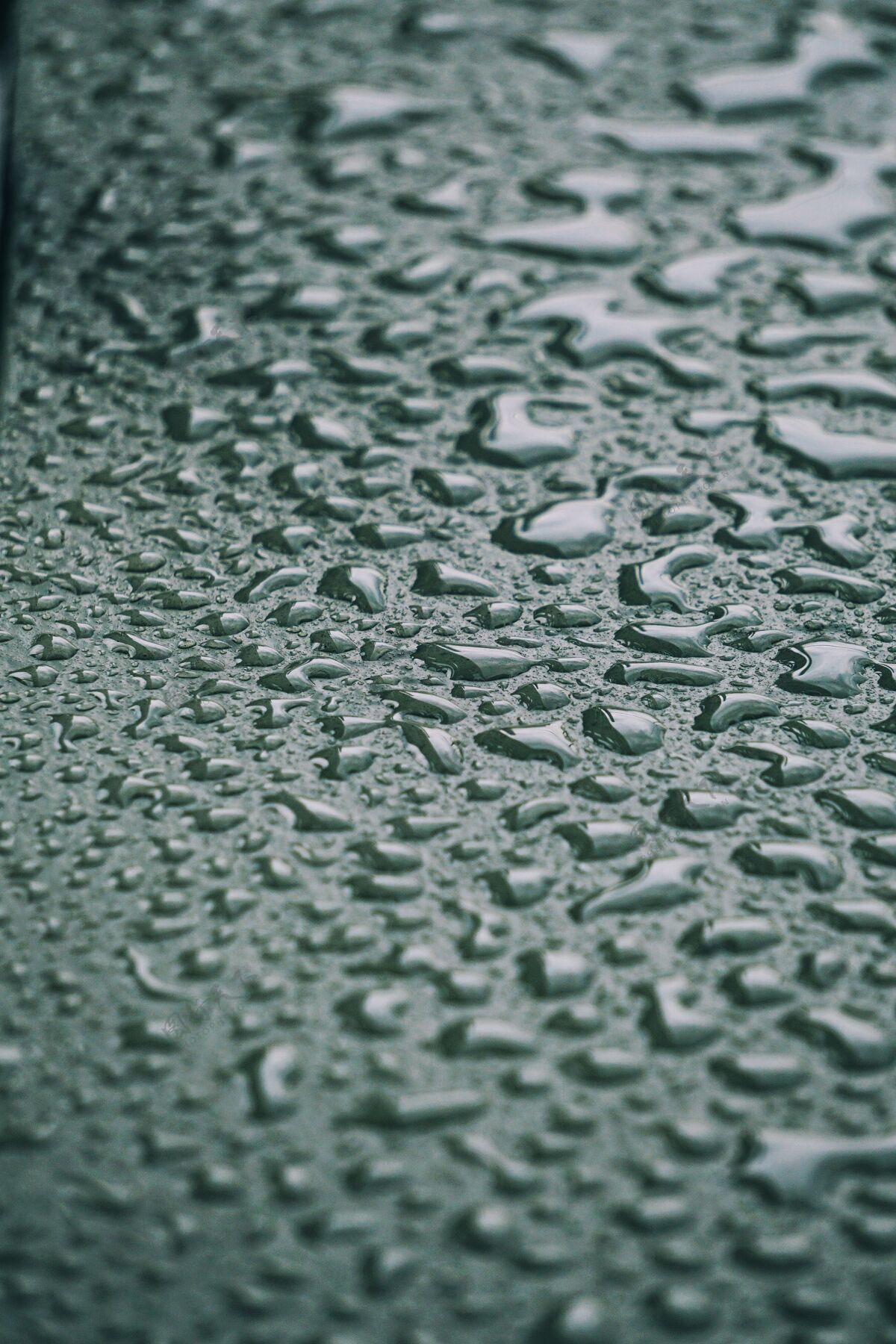 雨滴金属表面的雨滴 抽象的背景雨雨滴