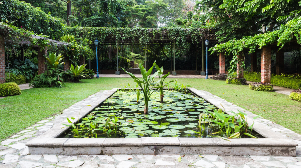 抽象新加坡植物园的装饰池塘小路花园颜色