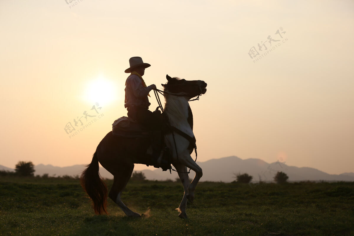 马牛仔骑在马背上迎着美丽的日落头盔剪影动作