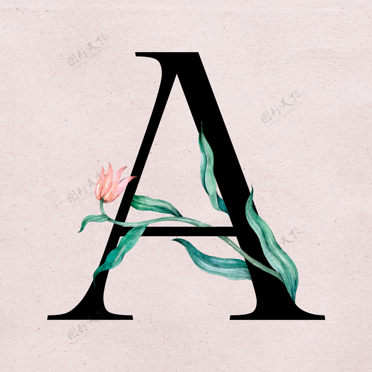 绘画花字母字体浪漫排版经典排版花卉