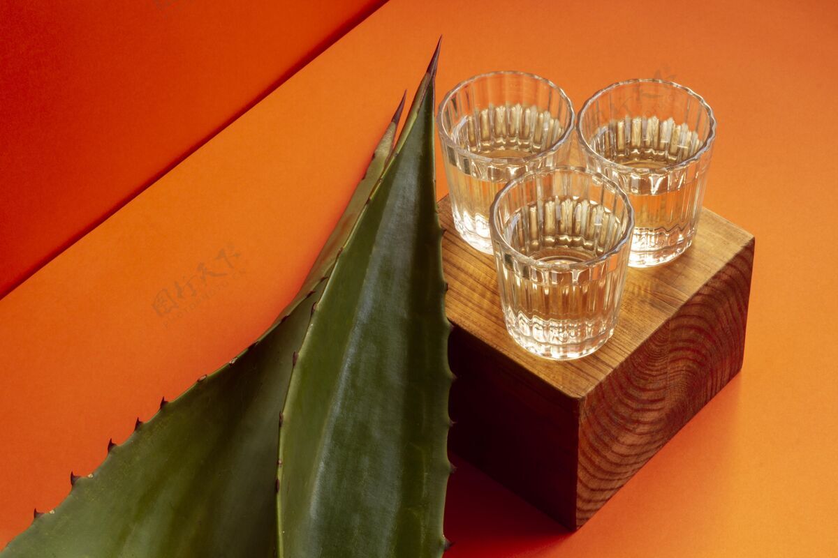 蒸馏美味的mezcal酒精饮料组合成分分类传统
