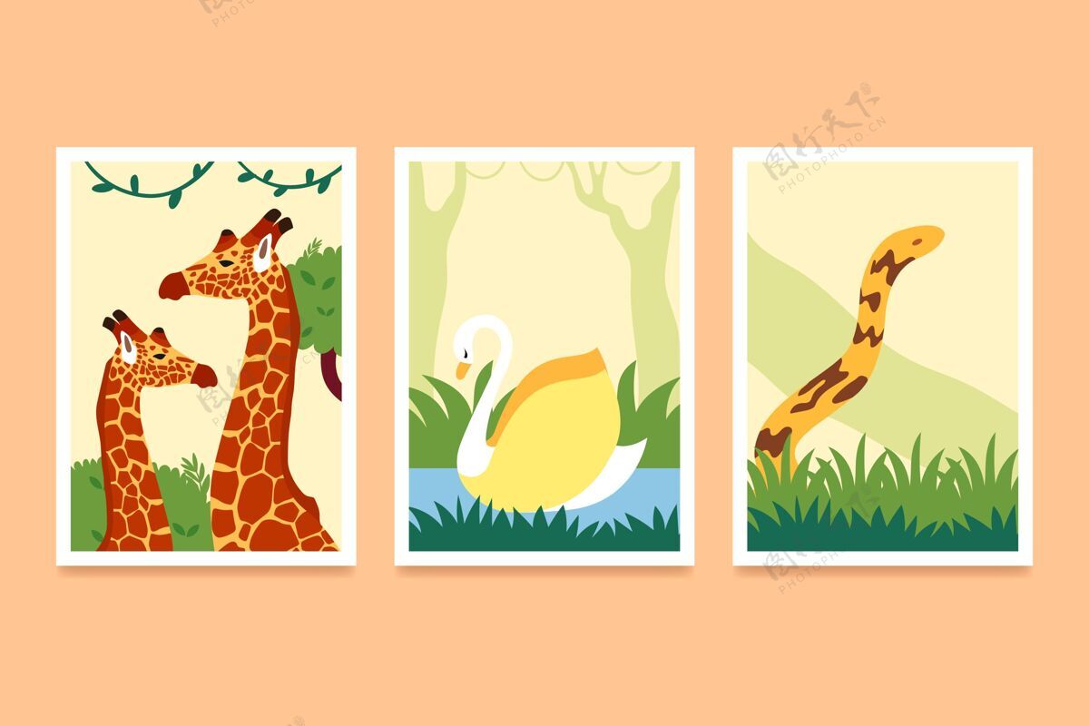 分类平板野生动物封面收藏封面模板集合包装野生动物