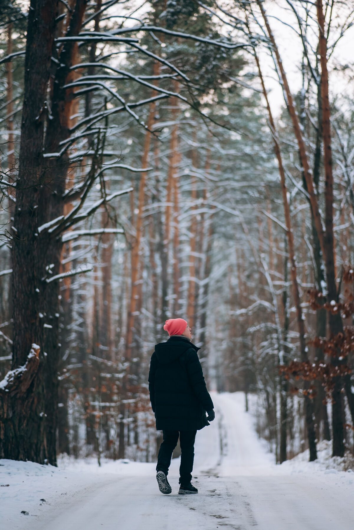 自然小伙子站在森林中间被雪包围的路上森林山天