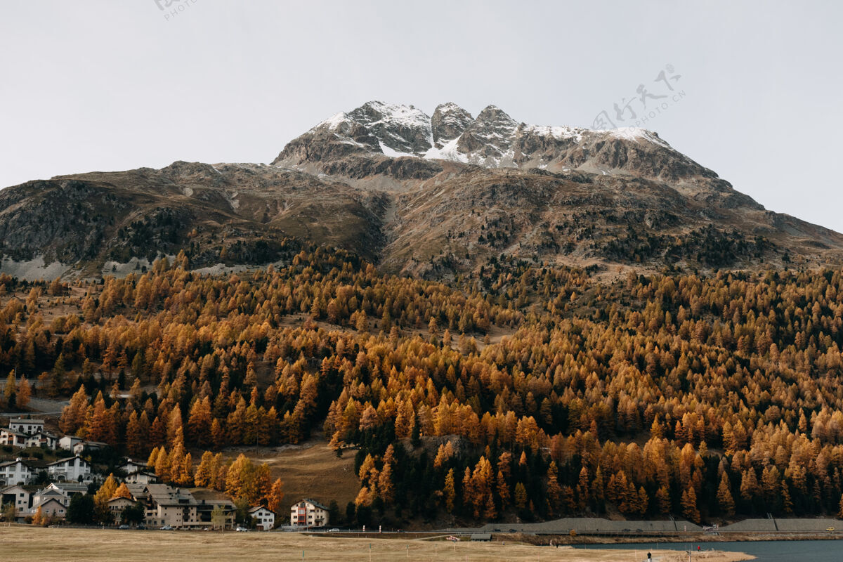 景观一个密林雪山覆盖着五颜六色的秋天树叶的奇妙镜头郁郁葱葱秋天风景