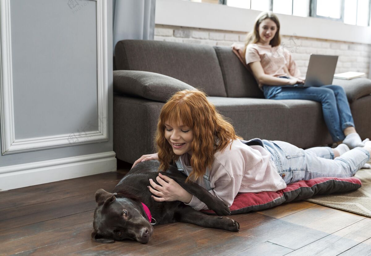 室内全镜头女人在地板上抚摸狗朋友在家里女人