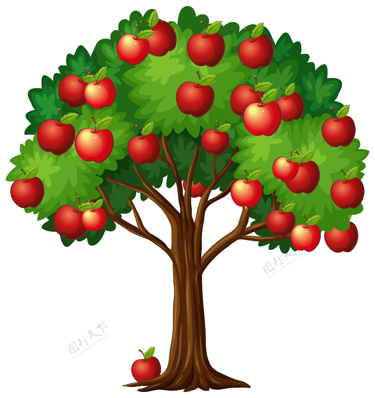 树叶树上有许多红苹果 背景是白色的树枝环境自然