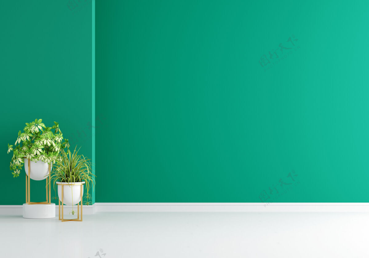 墙绿色植物在绿色客厅与复制空间复制空间房子锅