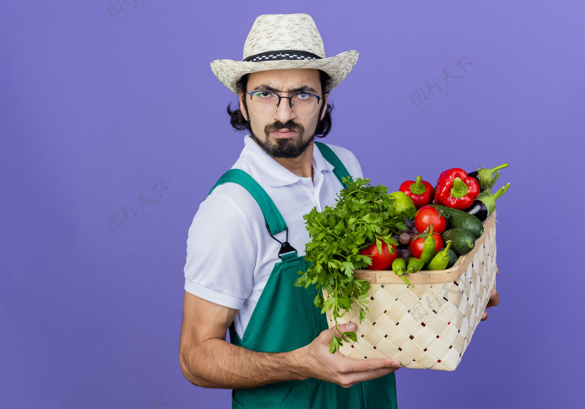 胡须年轻的留着胡子的园丁 穿着连身衣 戴着帽子 手里拿着装满蔬菜的箱子 站在蓝色的墙上 严肃地皱着眉头看着前面站着蔬菜皱眉