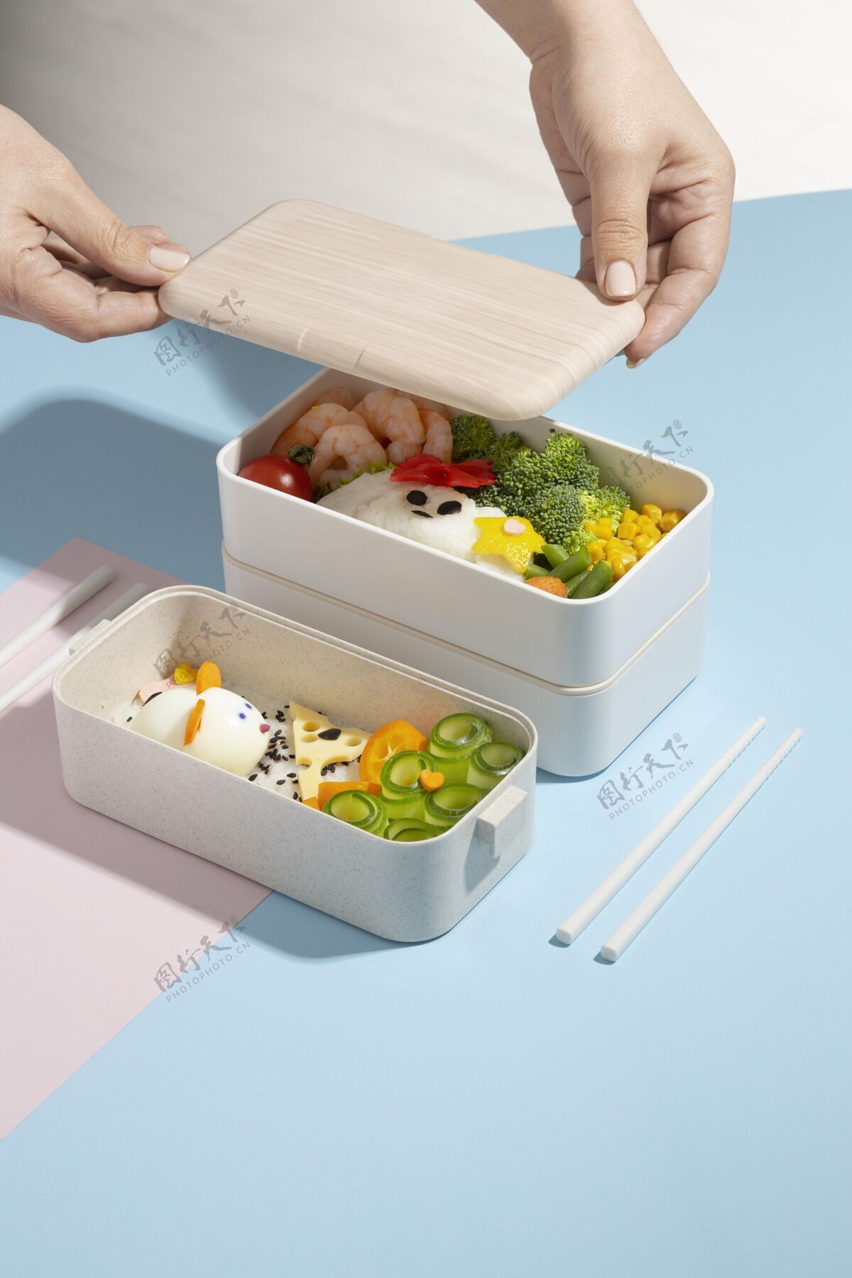 分类日本便当盒安排容器组成午餐