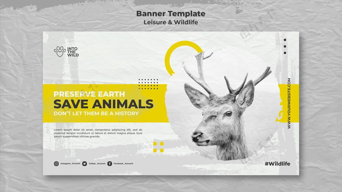 野生动物野生动物和环境保护横幅模板保护动物拯救动物