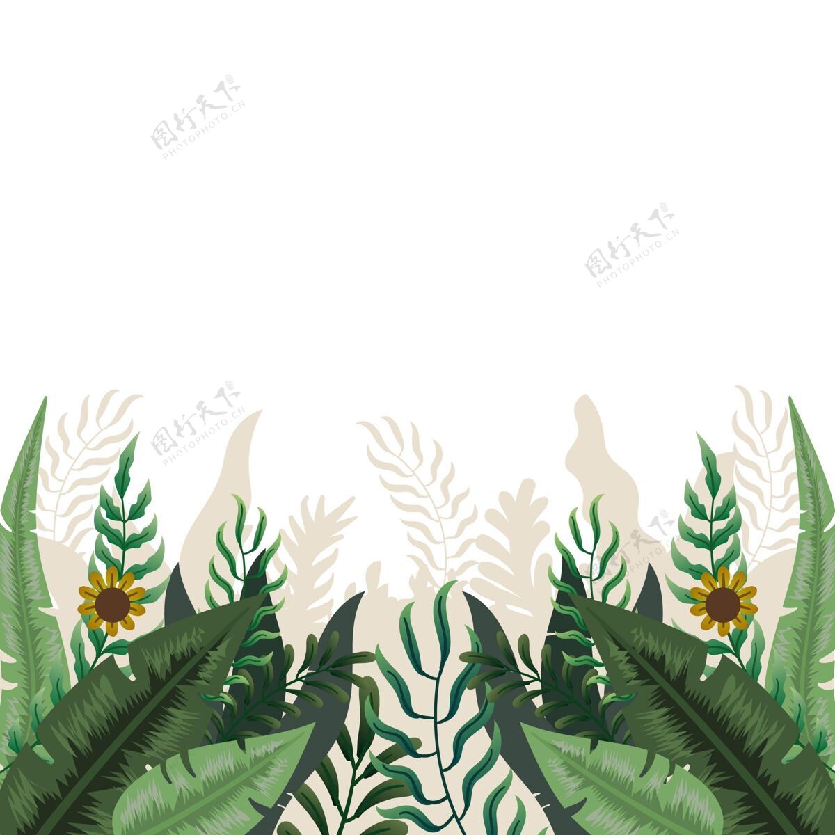 夏天平坦的热带树叶背景背景蔬菜热带