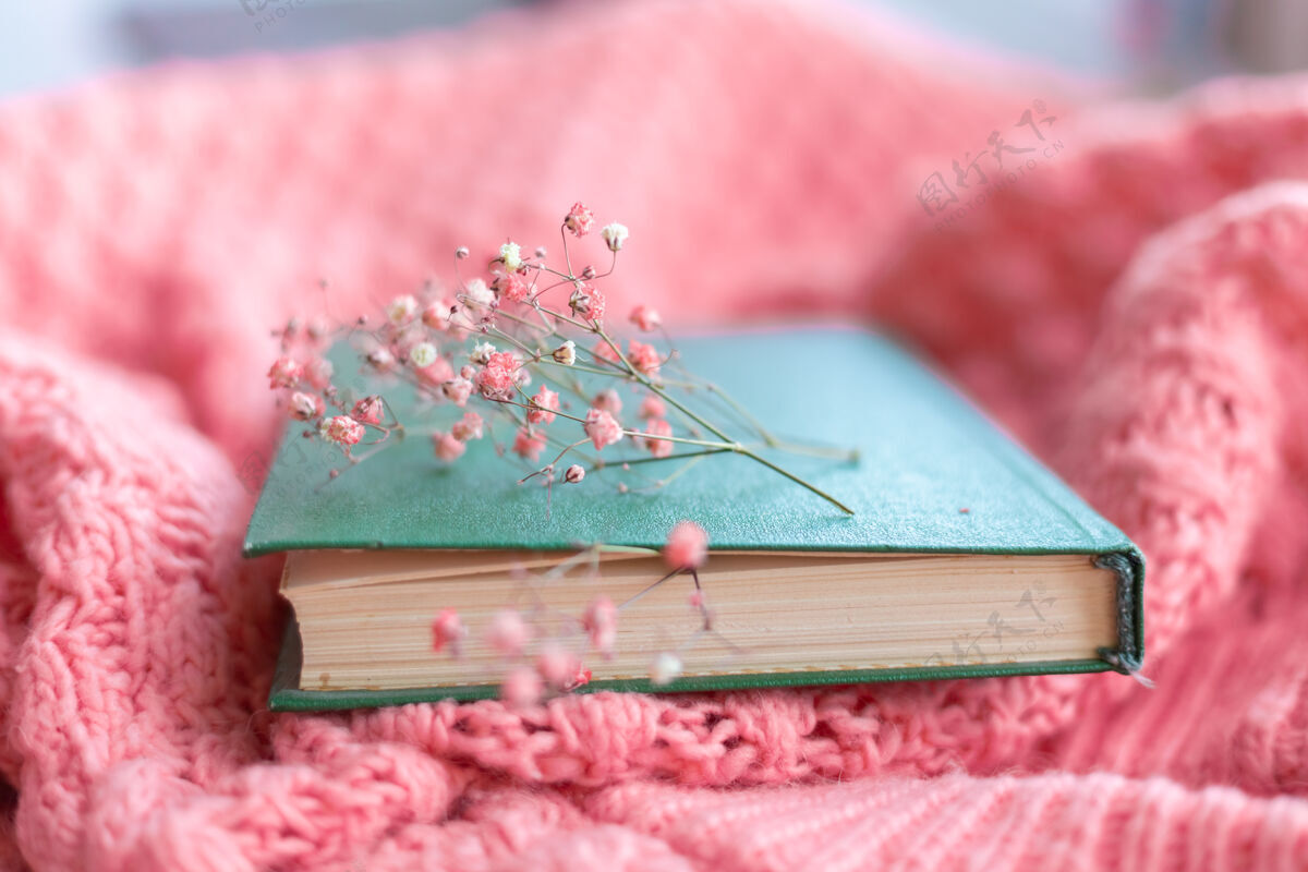 放松一件粉色温暖的针织毛衣上有干花的绿皮书舒适封闭早晨