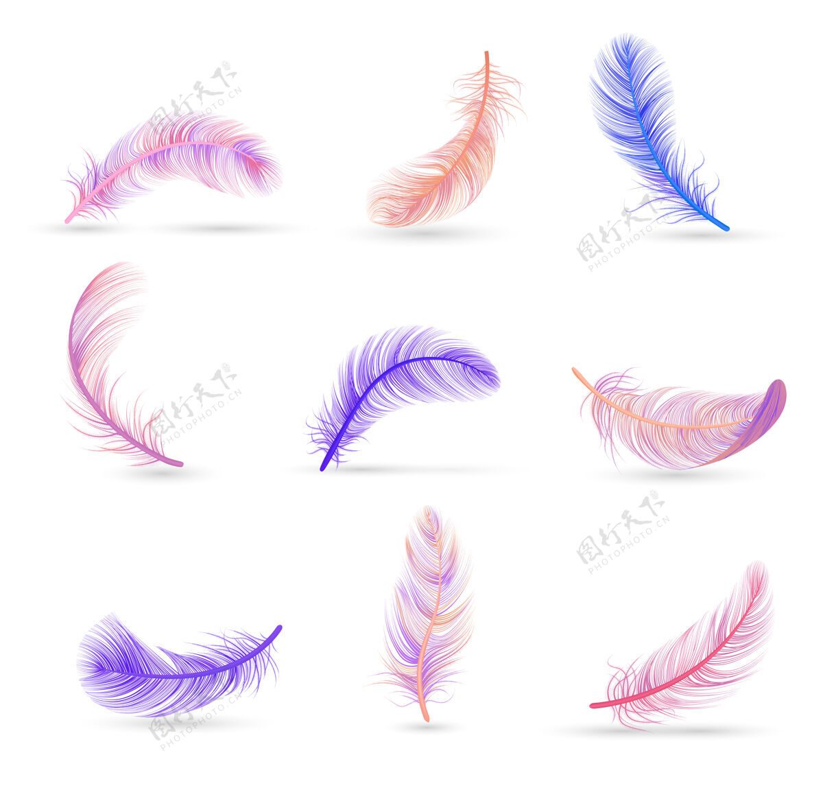 套装逼真的羽毛与柔软的紫色和粉色隔离羽毛集粉红逼真孤立