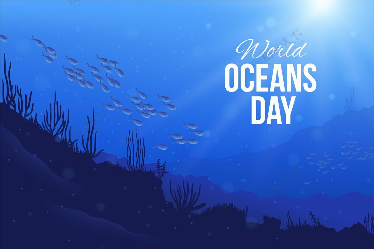 海洋现实世界海洋日插图全球国际现实