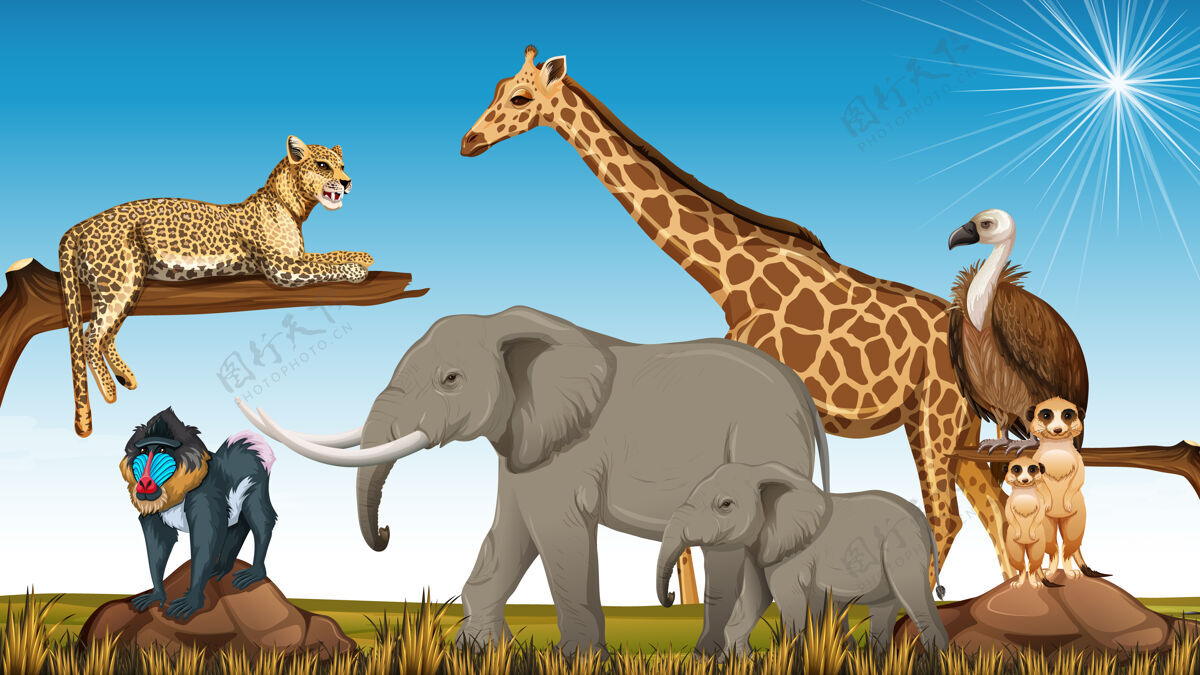 捕食者动物园里一群非洲野生动物的场景户外非洲卡通