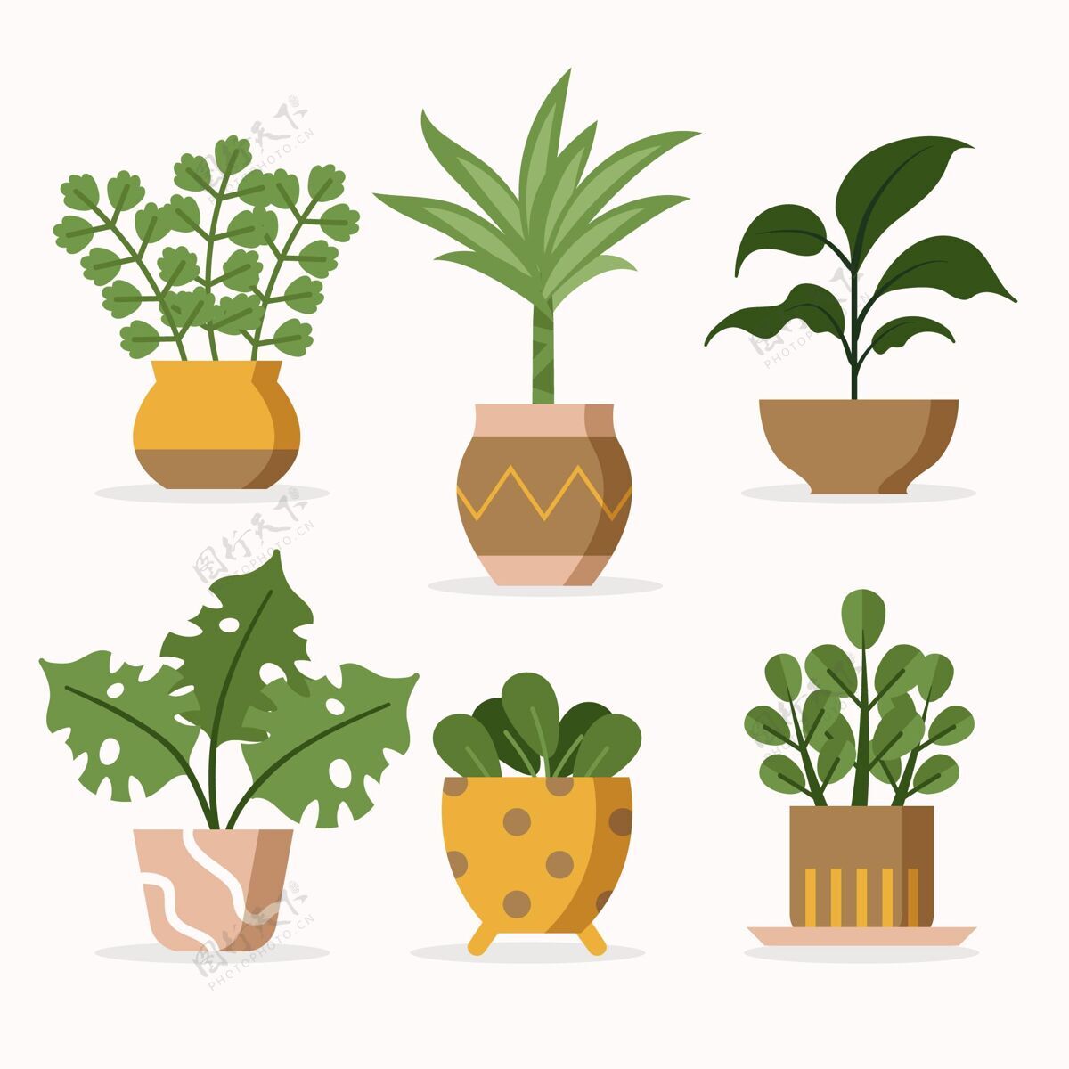 平面设计室内植物收集插图室内植物收藏园艺植物