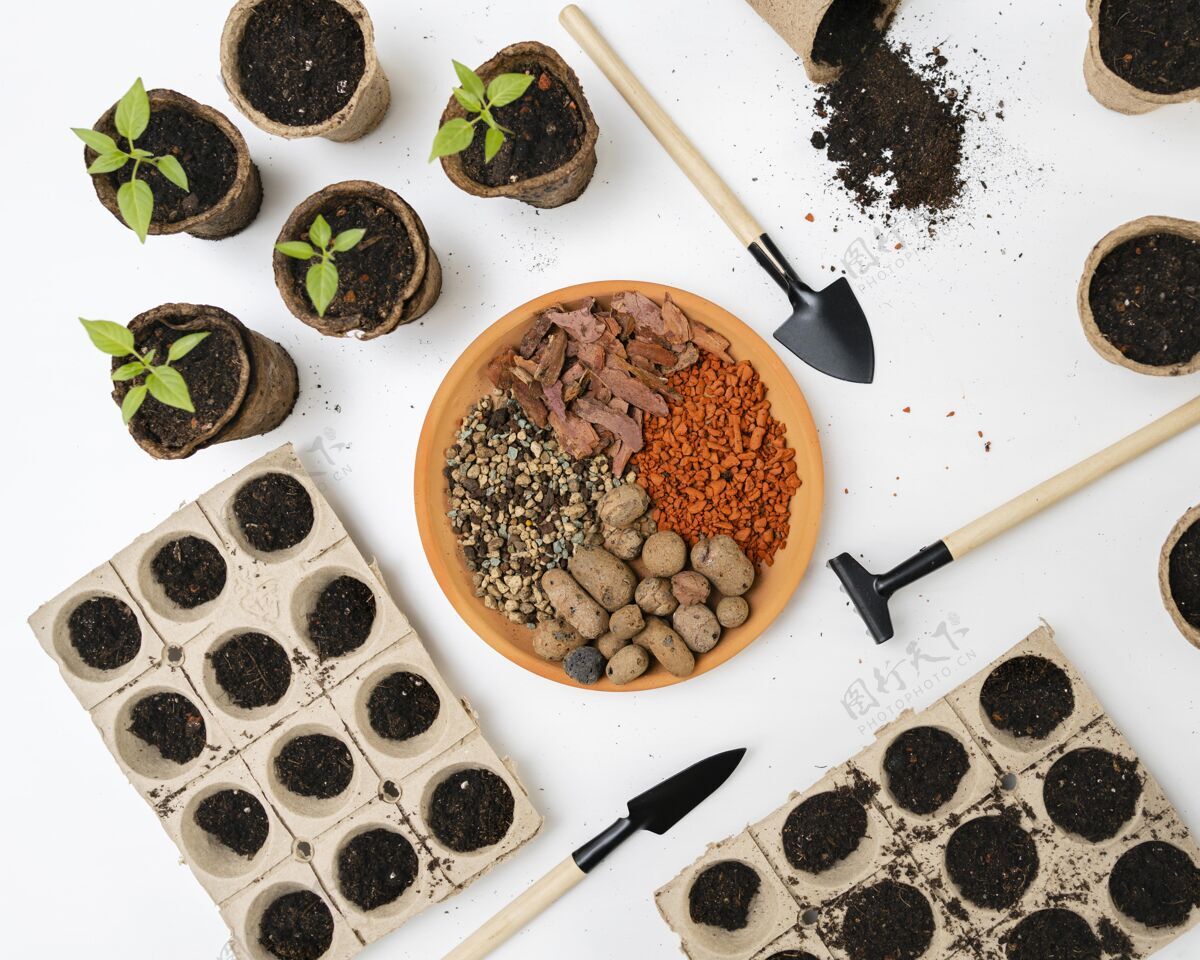 顶视图顶视图植物的土壤收获植物学叶子