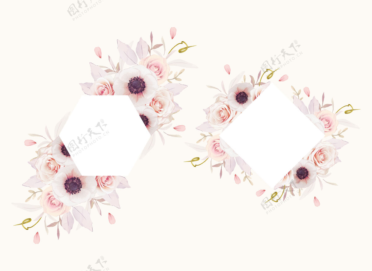 套装美丽的花卉框架与水彩粉红玫瑰和海葵花水彩乡村画框