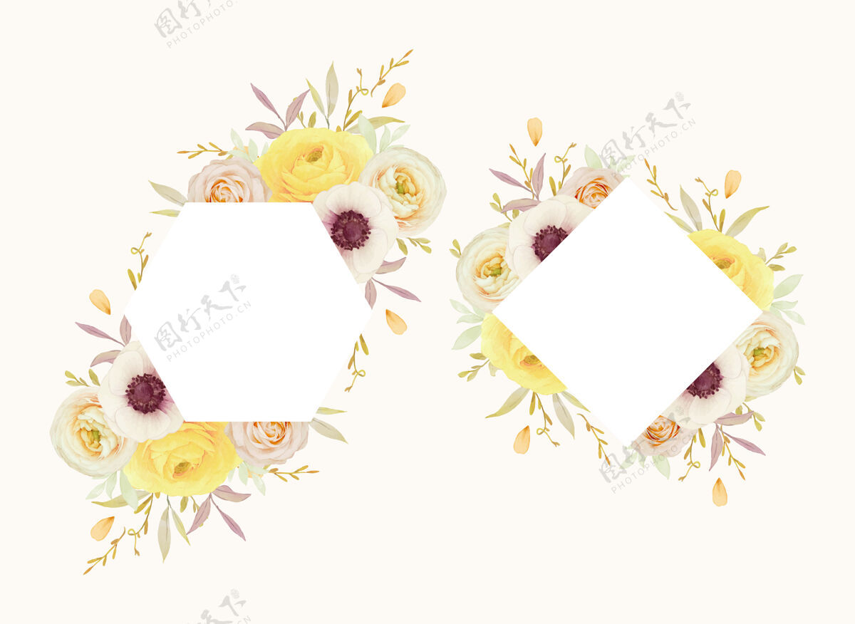 画框美丽的花架与水彩玫瑰 毛茛和海葵花手绘玫瑰花卉