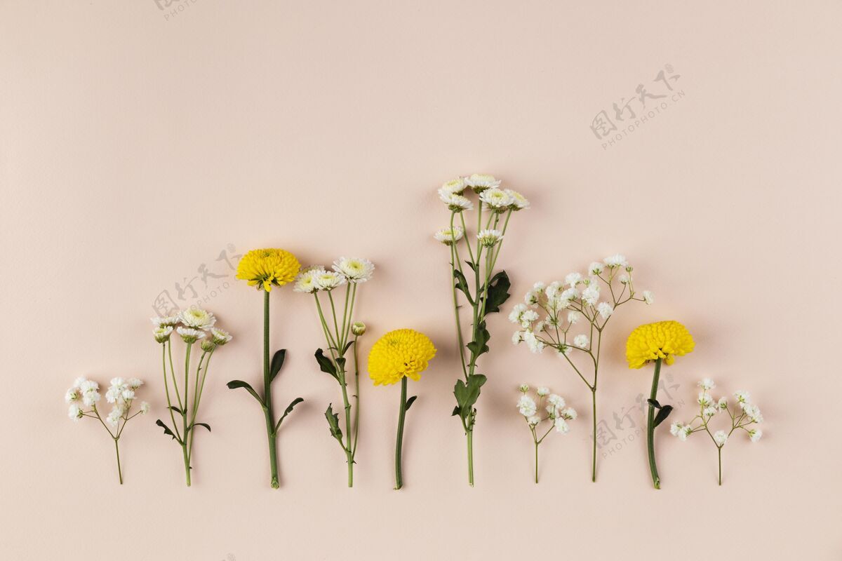 套装桌面上的花卉收藏花开花顶视图