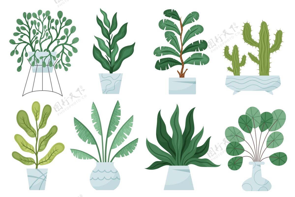 绿化有机平面室内植物系列室内植物平面草药