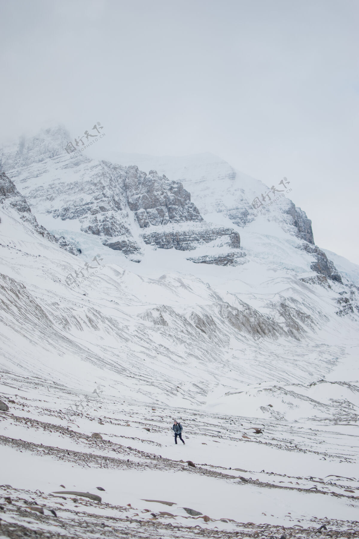 冰在冰山上跋涉的人人自然徒步旅行者