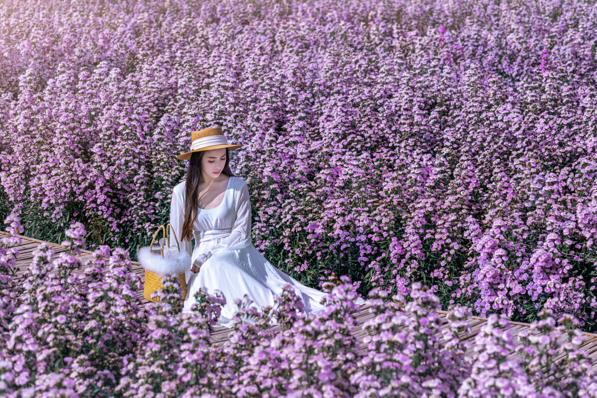 亚洲穿着白裙子的漂亮女孩坐在玛格丽特花丛里乡村女人享受