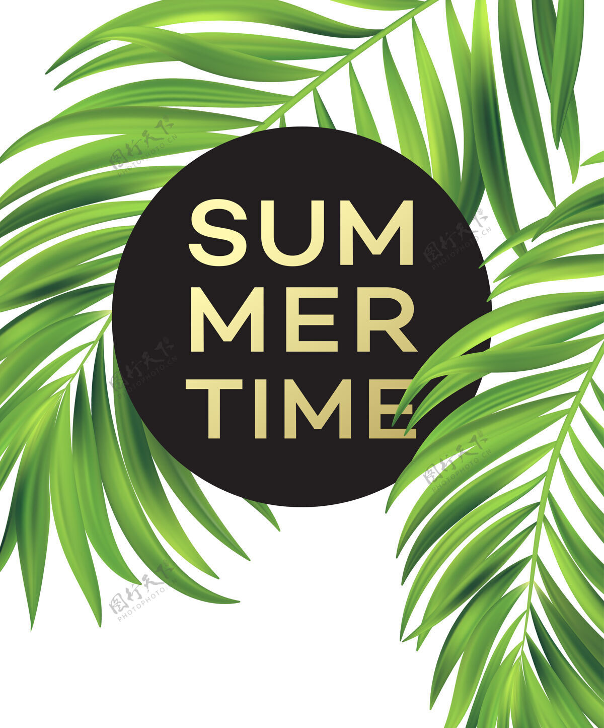 海滩热带棕榈叶夏季海报叶棕榈可打印