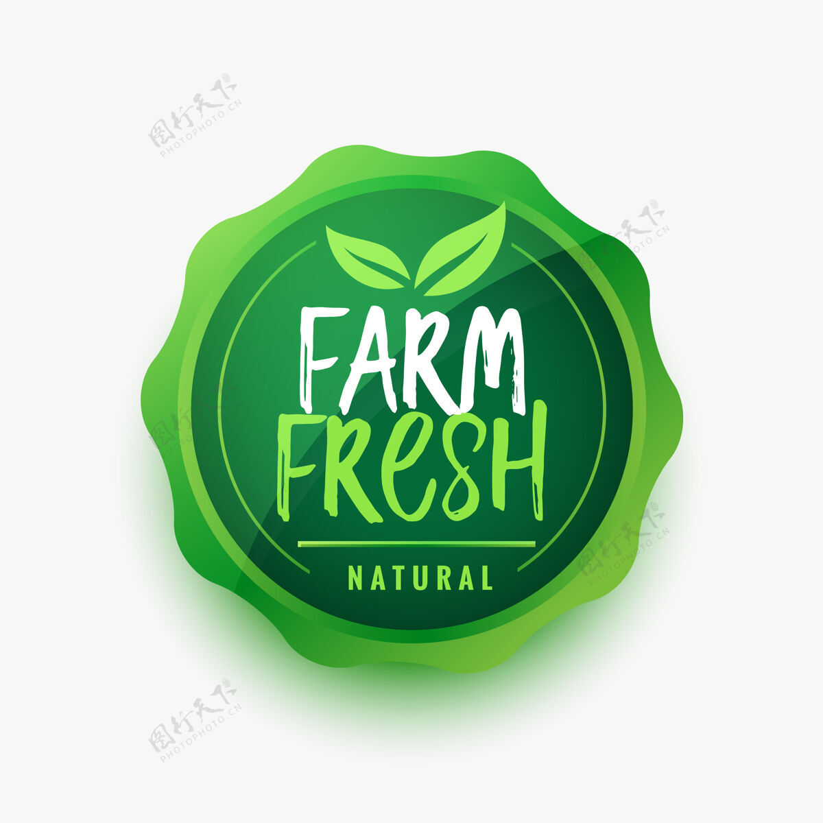 产品农场新鲜绿叶食品标签设计认证蔬菜素食